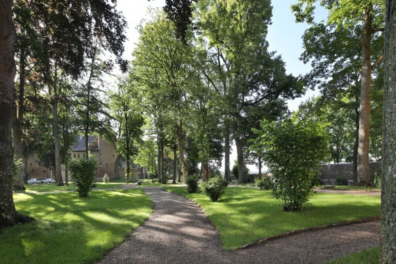 Im Schlosspark gibt es viele schöne Bäume und Hecken. Wege führen durch den Park zum Schloss.